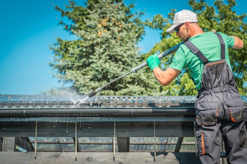 Gutter and Exterior Surface Cleaning