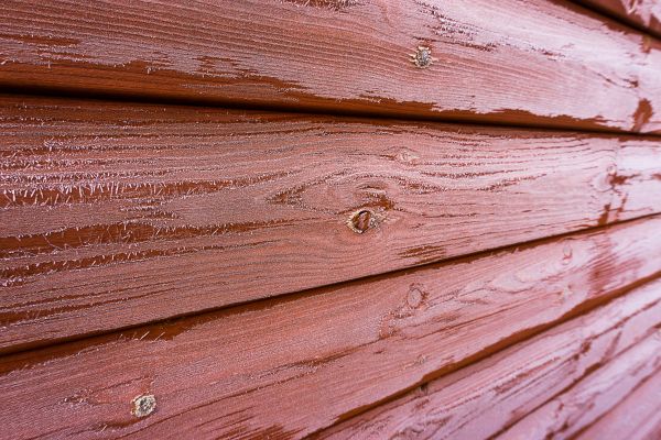 Cost of Cedar Siding Cleaning in Charleston