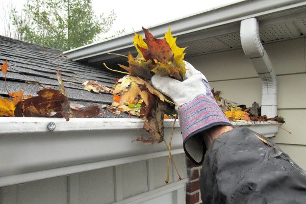 Cost of Eaves Cleaning in Charleston
