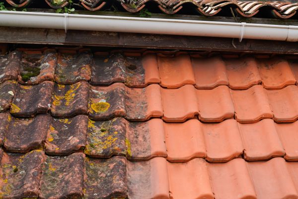 Cost of Industrial Roof Cleaning in Charleston